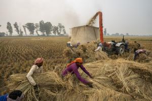 A farmer in India operates a tractor equipped with a Happy Seeder, planting seeds directly into crop residue without burning, promoting climate-smart agriculture.
