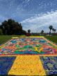 SAN DIEGO CELEBRATION OF AWAKENING FOR WORLD PEACE FESTIVAL