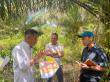 REA Empowers 600+ Smallholders in Indonesian Borneo for EUDR Compliance and RSPO Certification with KOLTIVA