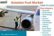 Aviation Fuel Market Report – Global Industry Share & Future Demand 2025 | DataM Intelligence