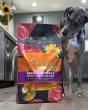 A Novel Approach to Dog Nutrition: Zignature Launches 'Select Cuts Kangaroo Formula'