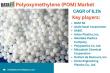 Polyoxymethylene (POM) Market Overview | Key Players, Latest Developments & Outlook 2025 | DataM Intelligence