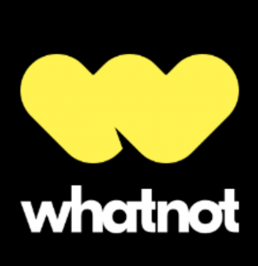 The Whatnot platform leverages the power of live video shopping, empowering and engaging its audience and sellers in a fun and authentic way. Consignment shops have become a thing of the past with live shopping paving the way for sales of luxury designer handbags.
