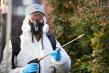 Tom’s Pest Control Adelaide Safely Removes Wasp Nests from Local Primary School