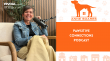 Realtor Anne Soares Launches Pawsitive Connections Podcast to Celebrate Local Businesses, Promote Pet-Friendly Homes