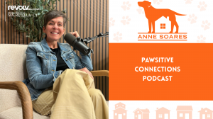 woman sitting in a chair facing camrea smiling, wiht the words pasitive connections podcast in white on orange background