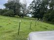 Tony’s Fencing Builds Durable Farm Fences, Cow Fencing, and Custom Gates Across Louisiana