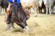 Cutting Horse Returns to Work and Retains Soundness Years After VetStem Cell Therapy for Bilateral Suspensory Injuries