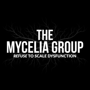 The Mycelia Group provides fractional executive leadership.