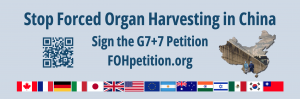 G7 + 7 Petition Banner