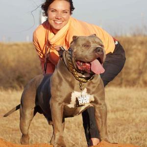 XL American Bully