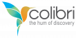 Nuance, a Subsidiary of Decision Analyst, Launches Colibri™—An Advanced Verbatim Coding and Language Analytics Platform