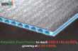 Polyolefin Foam Market Growth Driven by EVs, Construction, Packaging, and Green Innovation Trends | DataMIntelligence