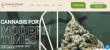 Greene Street Maintains Cannabis Access and Community Connection in Portland