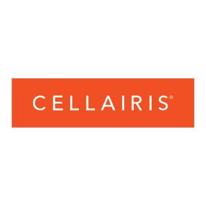 Cellairis Logo2
