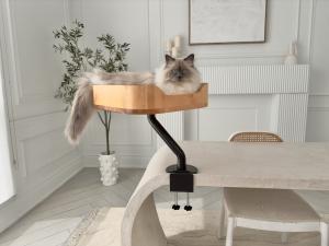 Fluffy long-haired cat lounging in a wooden desk-mounted cat bed by ERGO PURRCH™, attached to a light-colored desk with a black arm assembly, in a modern minimalist room with white walls and decor.