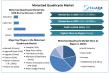 Motorized Quadricycle Market Share, Size, Growth Trends & Investment Scope To 2025-2032