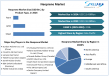 Neoprene Market Size, Trend, Business Overview, Industry Analysis, Investment Plans To Forecast 2025-2032
