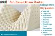 Bio-Based Foam Market Insights: Emerging Trends, Demand Drivers & Global Forecast 2025 | DataM Intelligence