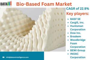 Bio-Based Foam Market