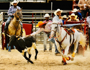 Steer Undecorating