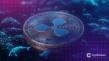 Hashj Launches Free XRP Cloud Mining Platform to Expand Crypto Access in 2025