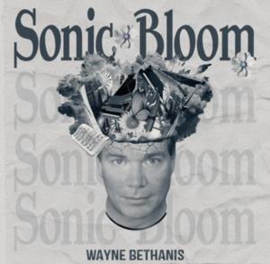 23441650 wayne bethanis stunning album