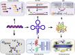 Proteomics Market Booming with Biomarker Discovery and Precision Medicine Advancements, 2032 | Coherent Market Insights
