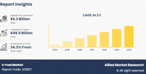 π± Global E-Fuel Industry Overview