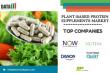 Latest Research on Global Plant-Based Protein Supplements Market Growth Projections & Opportunities To 2032