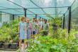 A New Chapter in Sustainability Blooms at Cinnamon Velifushi Maldives with the Launch of Its ECO Park