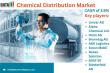 Chemical Distribution Market Insights | Industry Outlook, Top Companies & Future Growth 2025 | DataM Intelligence