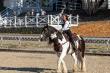 Connected Horse Hosts 3rd Annual ‘Lassos with Love’ to Support Dementia Care