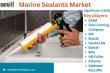 Marine Sealants Market Trends & Forecast | Emerging Opportunities & Challenges 2025 | DataM Intelligence