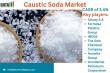 Caustic Soda Market Size, Share & Demand Analysis | Global Outlook 2025 | DataM Intelligence