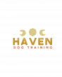 Haven Dog Training Offers Customized Dog Training Programs Across North Carolina