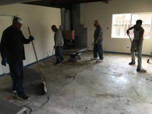 rodent urine odor removal - - -