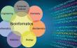 Bioinformatics Market Accelerates on Genomic Data and AI Tools | DataM Intelligence