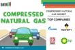 Future of Compressed Natural Gas (CNG) Market Size, Share & Trends Report Opportunities & Tech Trends Forecast 2025–2031