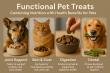 Functional Pet Treat Market is Estimated to Reach $722.8 Million by 2031, with Registering 9.2% CAGR
