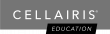 Cellairis Announces Partnership with TD SYNNEX