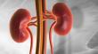 Renal Insufficiency Market Driven by Aging Population & Chronic Disease Burden | DataM Intelligence
