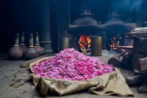 Kannauj - Attar Perfumes 2