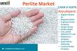 Perlite Market Size, Demand & Industry Outlook | Key Drivers & Future Opportunities 2025 | DataM Intelligence