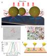 Coulomb attraction driven spontaneous molecule-hotspot pairing 