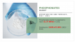 Latest Opportunities in Phosphonates Market, Size, GAGR, Trend and Forecast, 2031