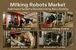 Milking Robots Market Projected to Reach $7 Billion by 2031 with 15.3% CAGR From 2021-2031
