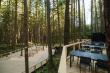 Squamish Canyon Now Open to Welcome Guests into the Heart of the Rainforest