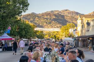 Calistoga Harvest Table with Mountains in Background