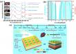Non-Volatile, Tunable Infrared Camouflage Using Rosaceae Plant-Inspired Multispectral Design